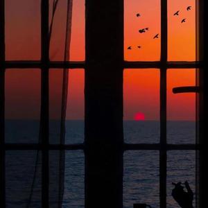 免费看的羞羞网站
