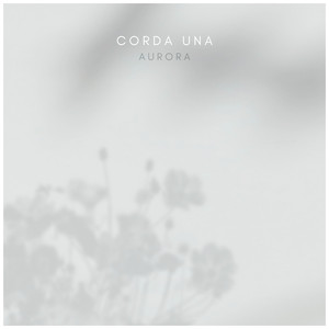 免费看的羞羞网站
